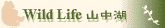 Wild Life-�R����-�ƭ�