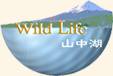 WildLife-�R����-