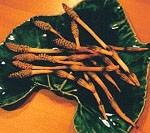 food2.jpg (6518 �o�C�g)