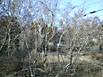 winter-2