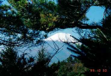fuji017.jpg (42416 �o�C�g)