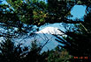 fuji-a3
