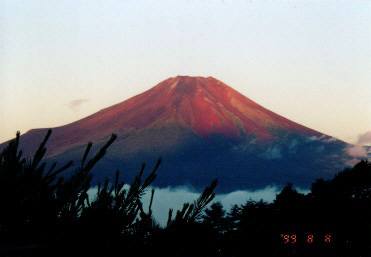 fuji013.jpg (8534 �o�C�g)