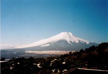 fuji005.jpg (10910 �o�C�g)
