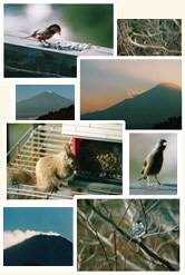 photo by M.Aoyama